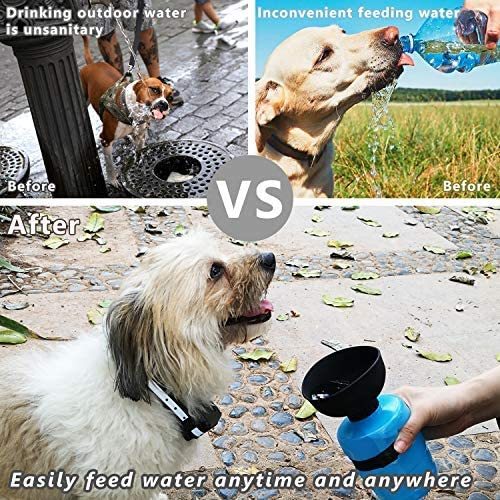 Borraccia per Cani Portatile 2 - in - 1 con Ciotola Pieghevole – Impermeabile e a Prova di Perdite - Dog Moda