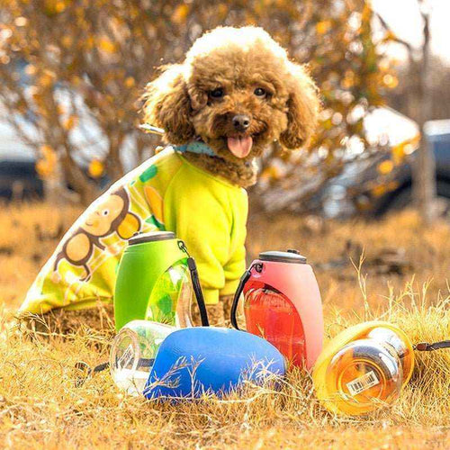 Borraccia Portatile per Cani Modello "HydroPet" - Dog Moda