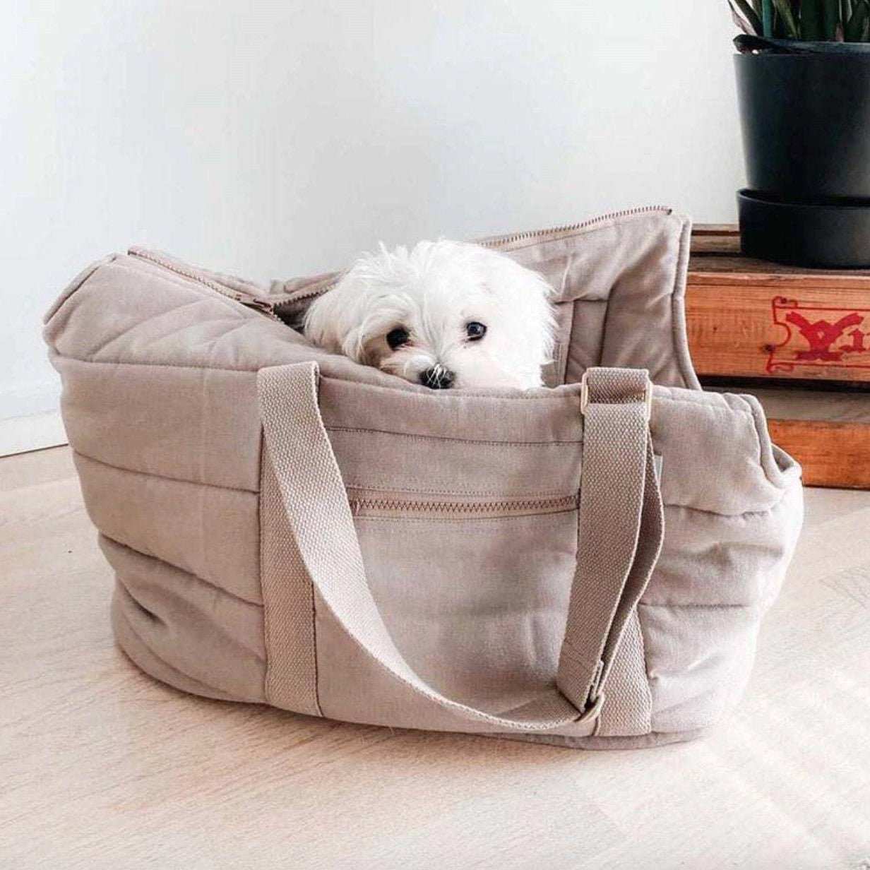 Borsa Trasportino "Soft Comfort" per Cani - Praticità e Stile in Movimento - Dog Moda