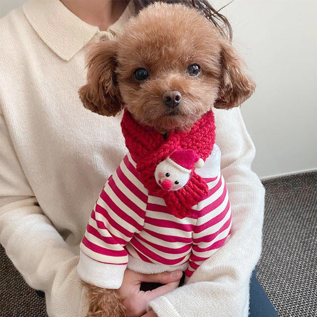 Christmas Dog Hoodie with Scarf | Red and White Stripes with 3D Pocket