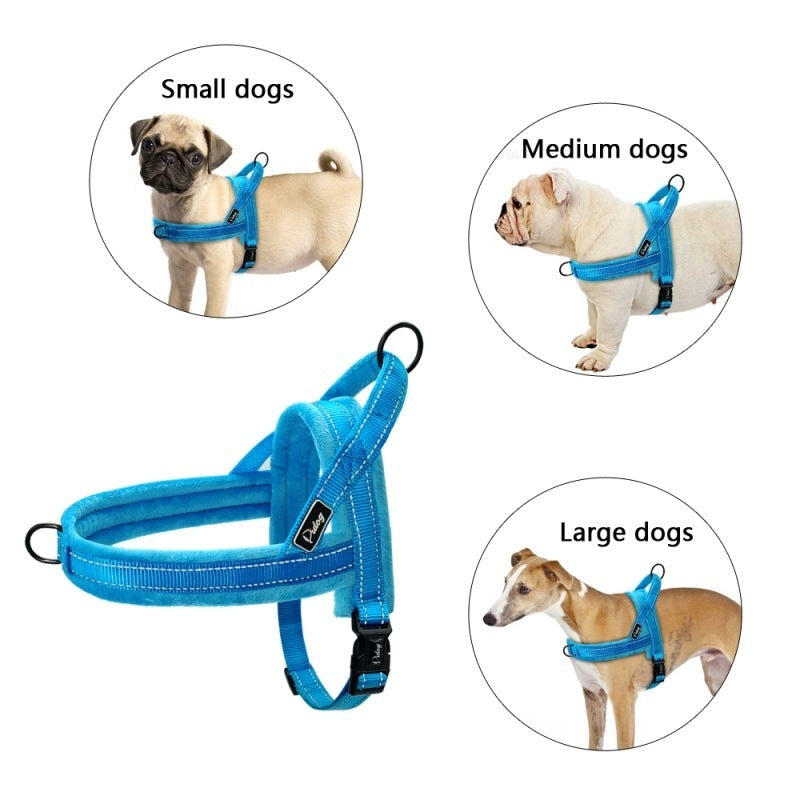 Pettorina Easy Walk per Cani - Controllo Anti-Tiraggio e Comfort Totale