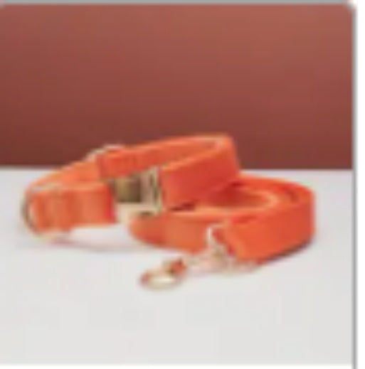Personalisiertes Hundehalsband mit Namen und Nummer – Weicher Stoff