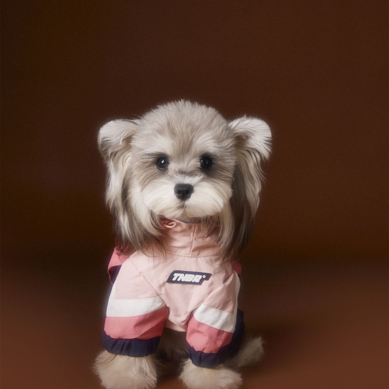 Tawney Bear 4-Legged Dog Raincoat with High Collar