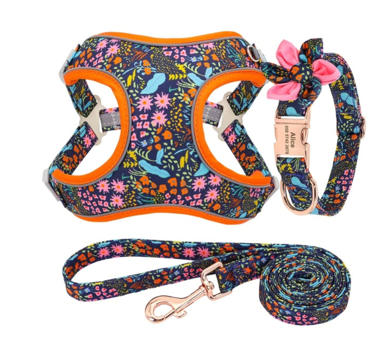 Complete Set of Leash, Collar and Harness "Cuba"