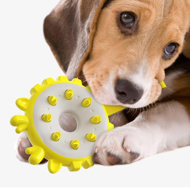 Ciambella TPR per Cani – Gioco Interattivo e Cura Dentale in un Solo Prodotto