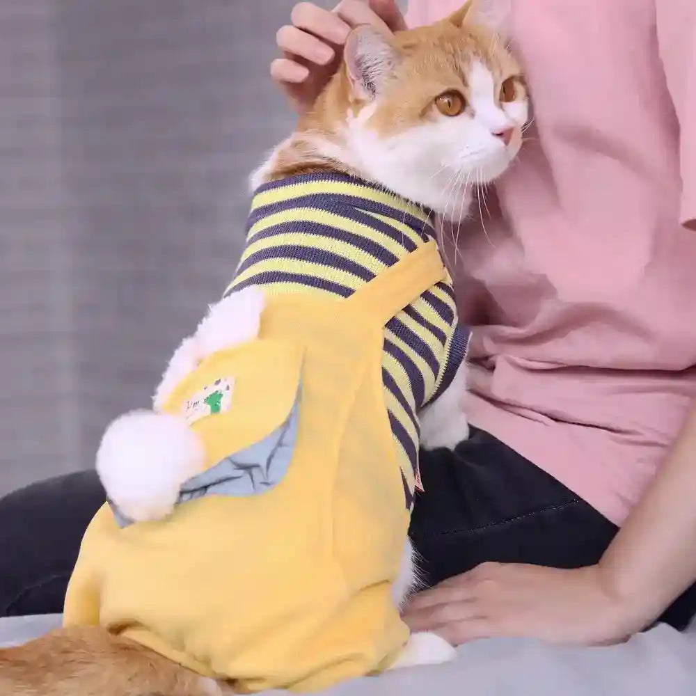 Tutina Salopette Gatti a Righe con Tasca - 6 Taglie by Dog Moda