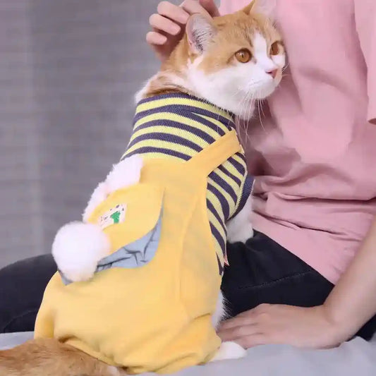 Tutina Salopette Gatti a Righe con Tasca - 6 Taglie by Dog Moda