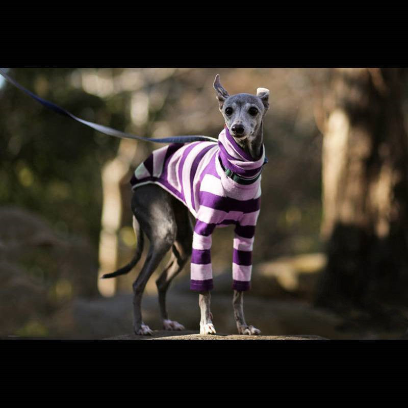 Greyhound Striped Medium Large Dog Sweater