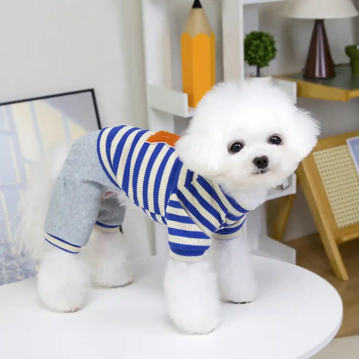 Tutina per Cani Robinson 4 Zampe - Pile a Righe Caldo by Dog Moda