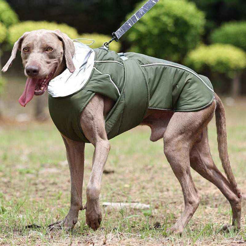Cappotto per Cani "Weimaraner" con Pettorina Integrata by Dog Moda