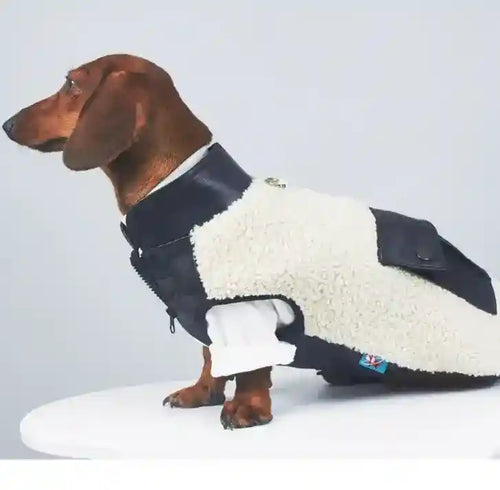 Cashmere lamssherpjas voor teckel met rits op de borst