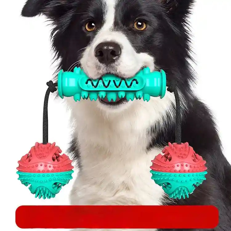 犬用耐久性噛む歯磨きおもちゃ 噛むスティック