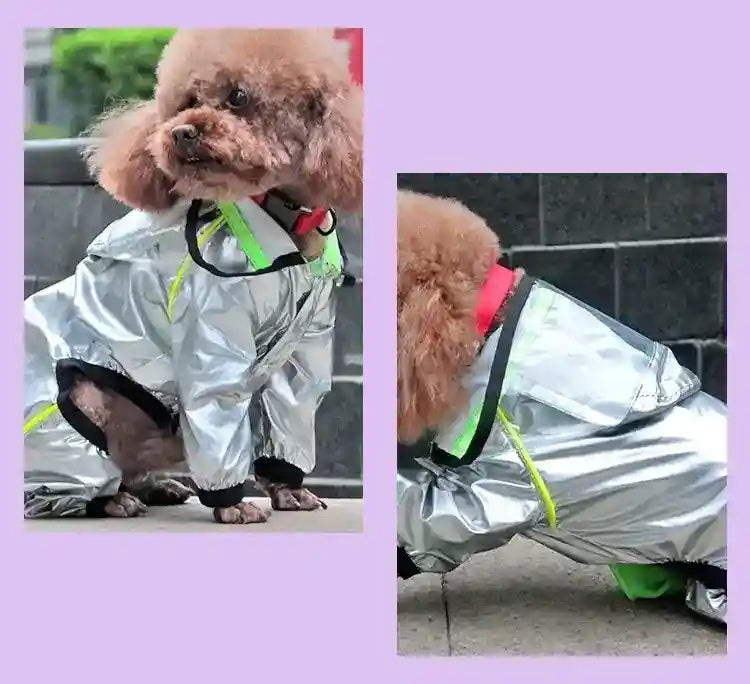 Impermeabile per Cani Argentato con Visiera | Pioggia 4 Zampe by Dog Moda