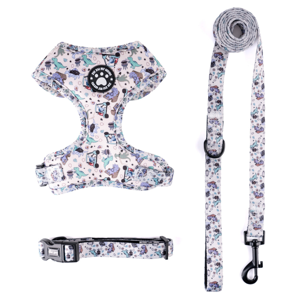 Set Pettorina Collare Guinzaglio Cani Perfect Paw