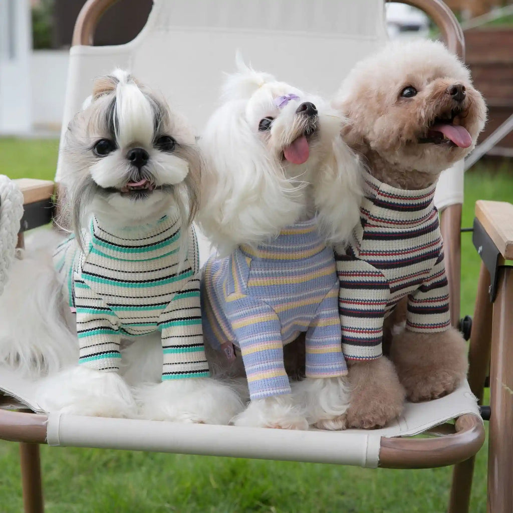 犬用ストライプシャツ - 通気性のある軽量コットン