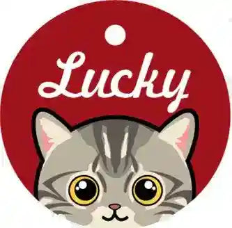 Medaglietta Gatto Personalizzata con Nome e Campanellino by Dog Moda