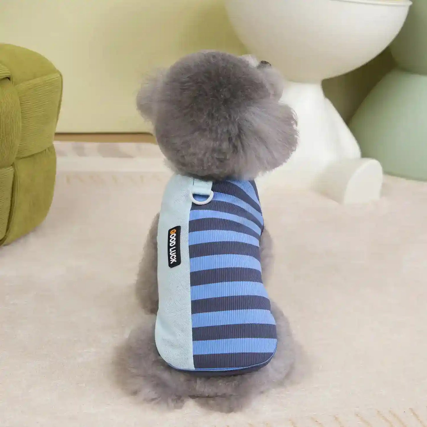 Maglia Pettorina Righe per Cani Piccoli - Modello Good Luck Fashion by null