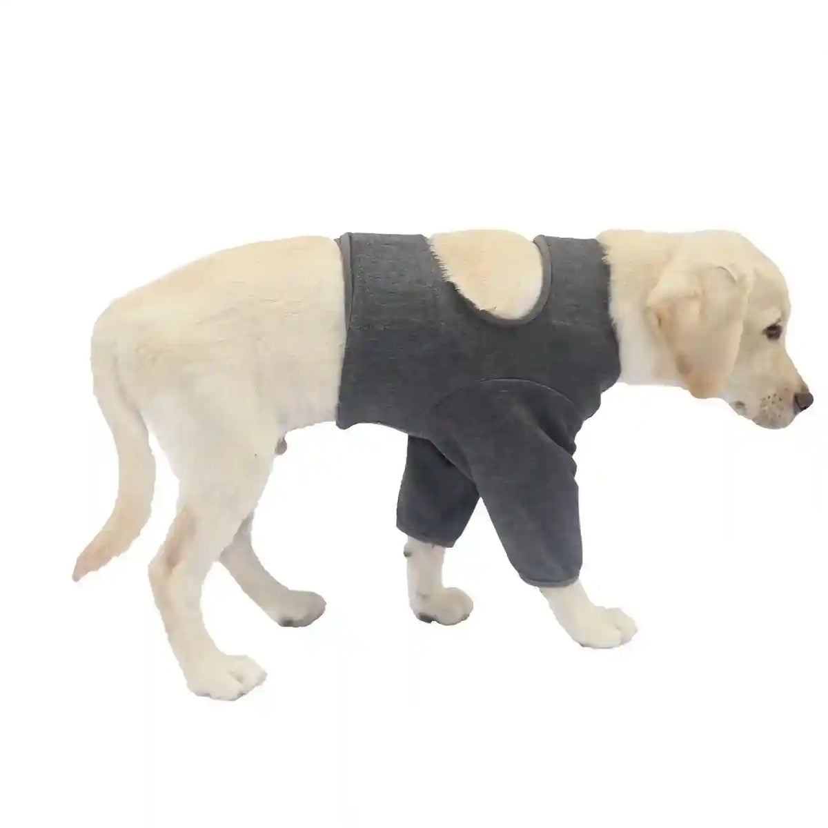 Tutore Zampe Anteriori Cani - Supporto Post Trauma e Prevenzione by Dog Moda