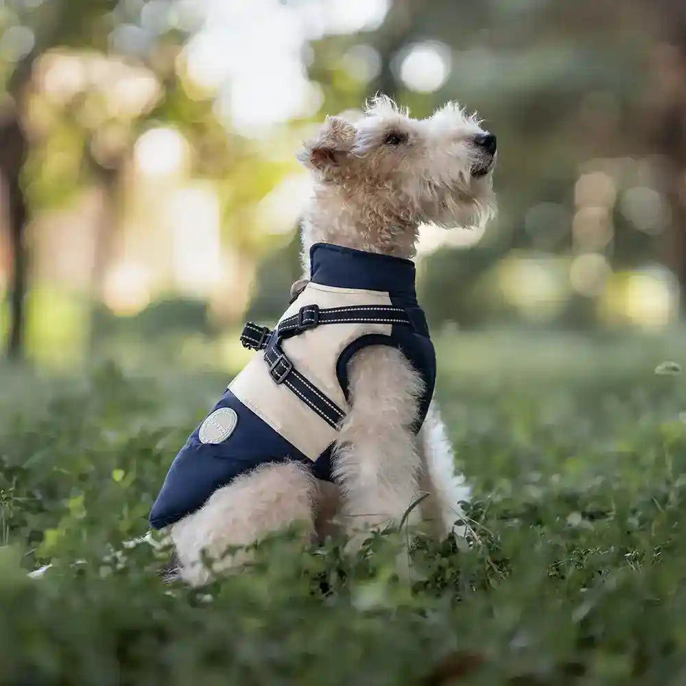 Cappotto Cani Pettorina Integrata - Impermeabile Pile by Dog Moda