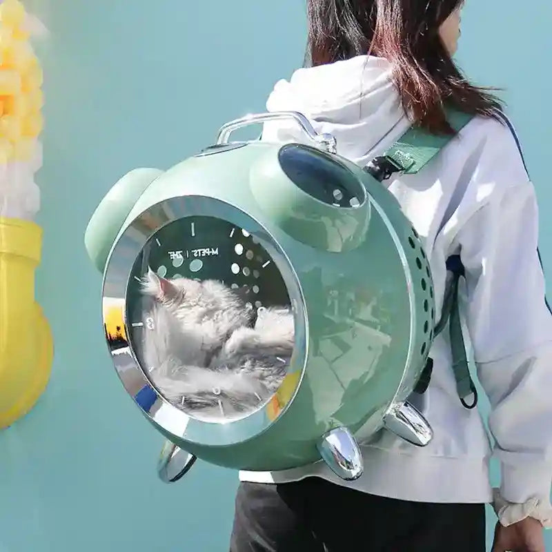Trasportino Rigido Sveglia con Termometro e Oblò Removibile by Dog Moda