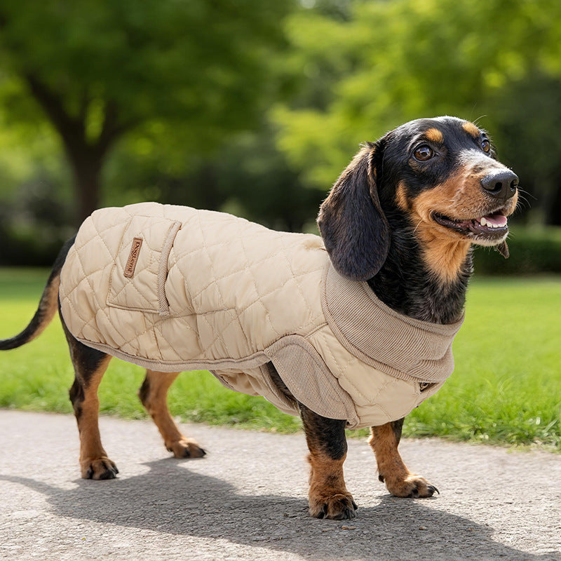 Manteau Teckel Doglemi - Imperméable Dachshund
