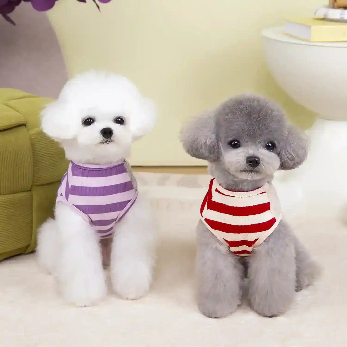 Maglia Pettorina Righe per Cani Piccoli - Modello Good Luck Fashion by null