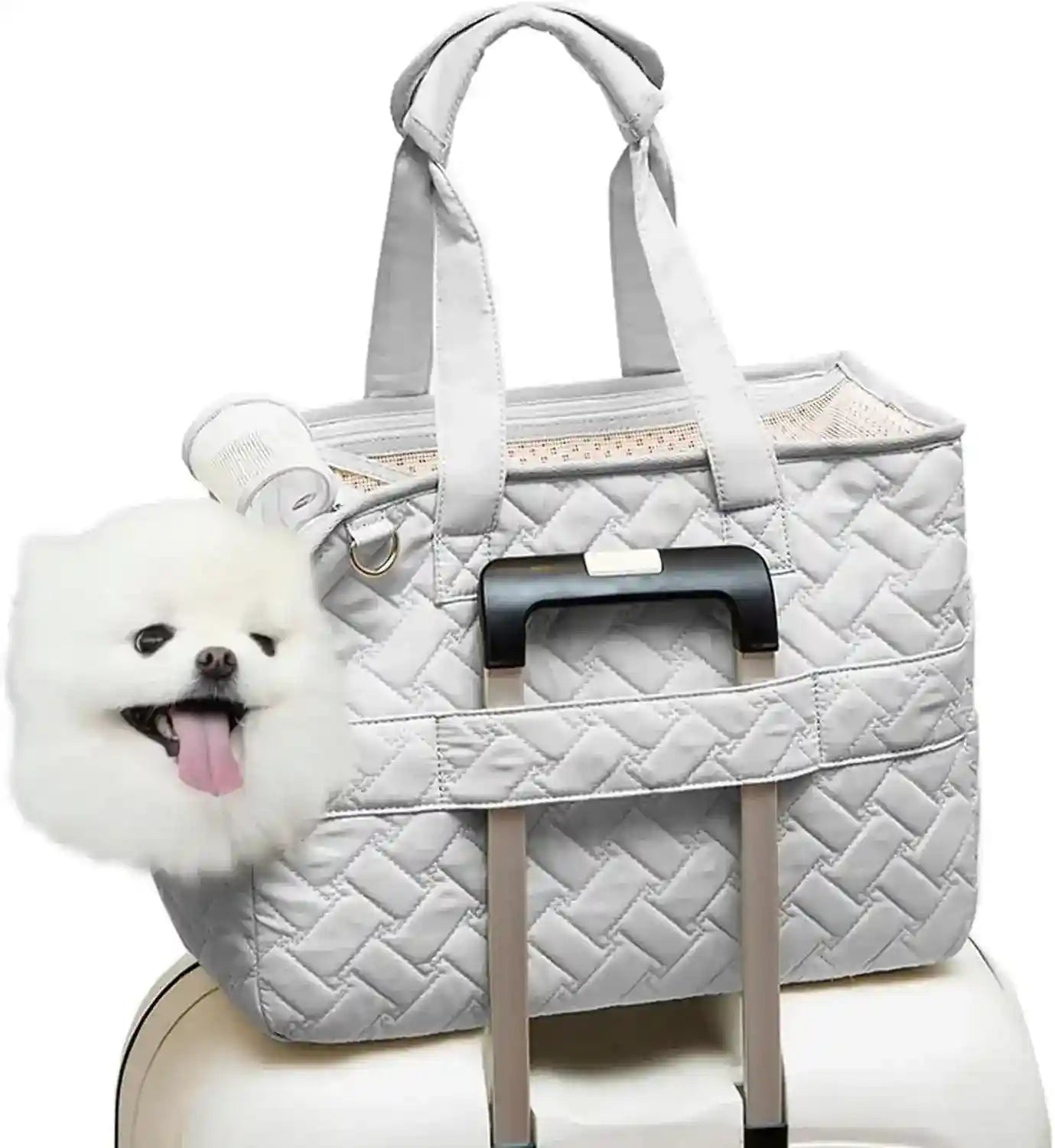 Trasportino Patazone per Cani e Gatti con Tasche e Tracolla by Dog Moda