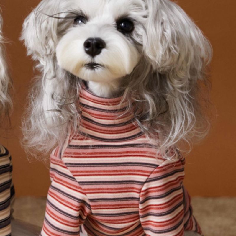 Maglia per Cani a Righe Tawney Bear - Stile Casual