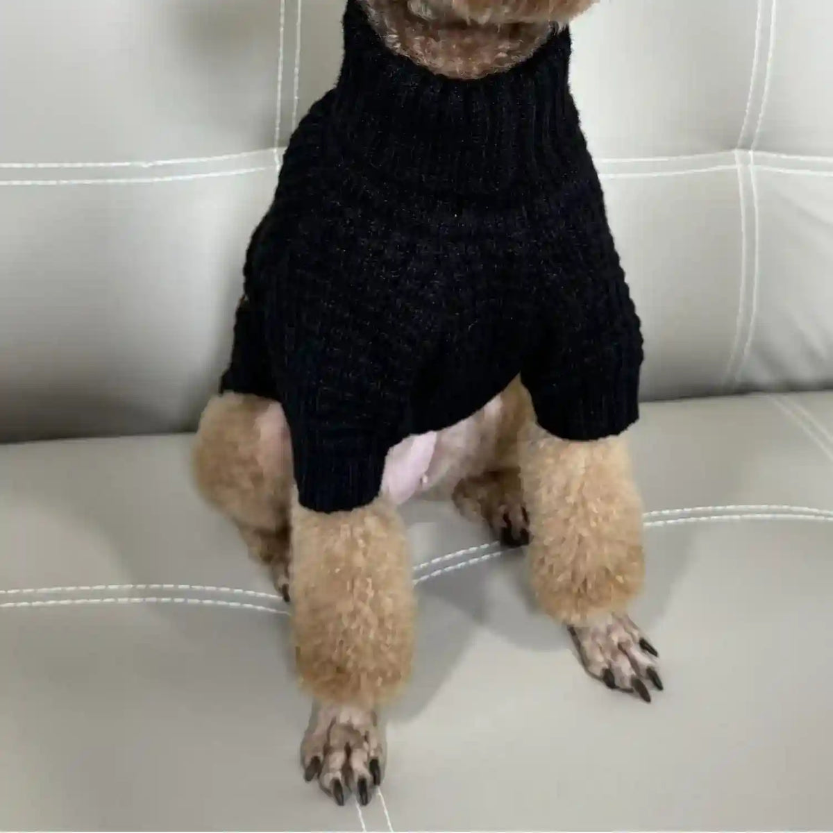 Maglione per Cani Collo Alto - Morbido Peluche per Barboncini e Maltesi by Dog Moda