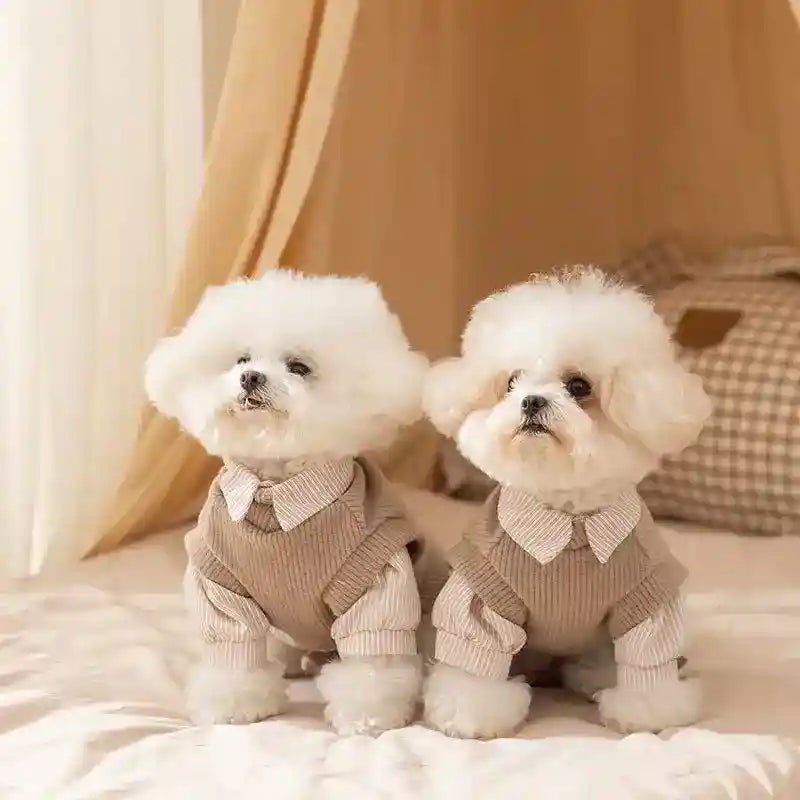Maglione Preppy Stratificato per Cani - Elegante Velluto by Dog Moda