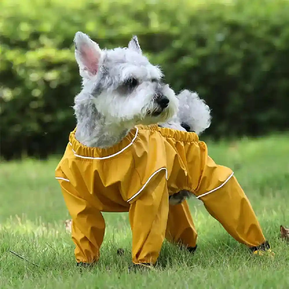 Tutina Idrorepellente per Cani "Zoe" – Massima Protezione da Pioggia e Fango by Dog Moda