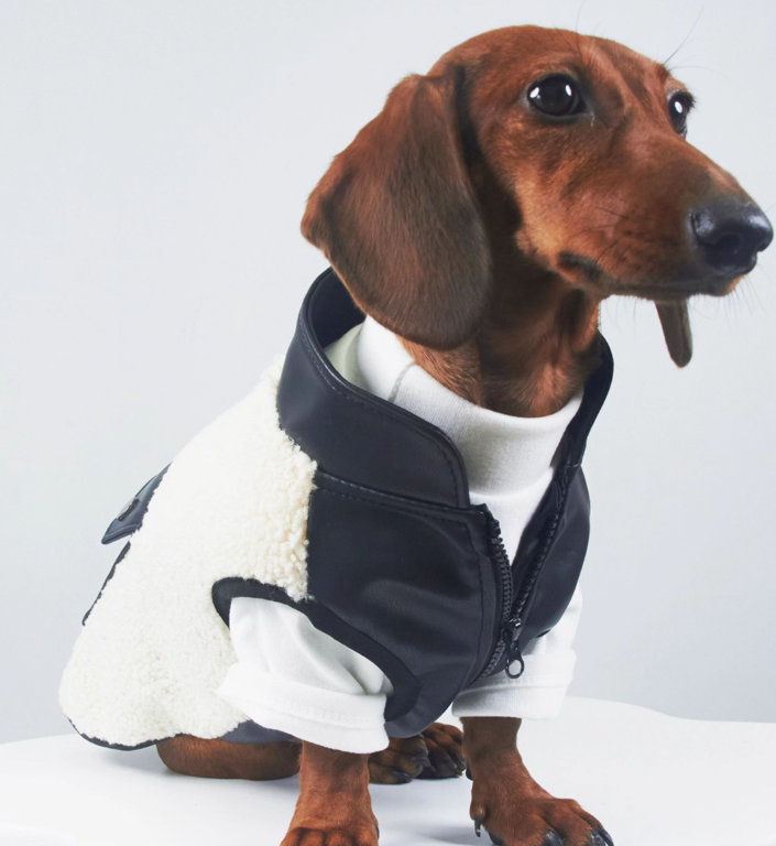 Cappotto Bassotto Cashmere Pile Agnello con Zip Torace