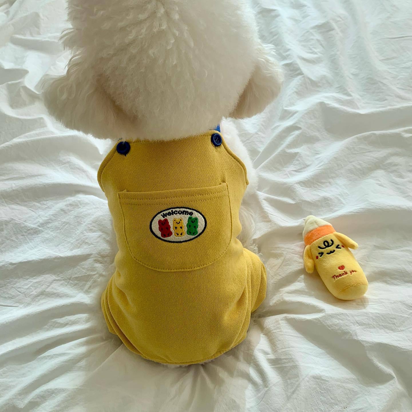 Small Dog Overalls with Suspenders - Comfortable and Fashionable