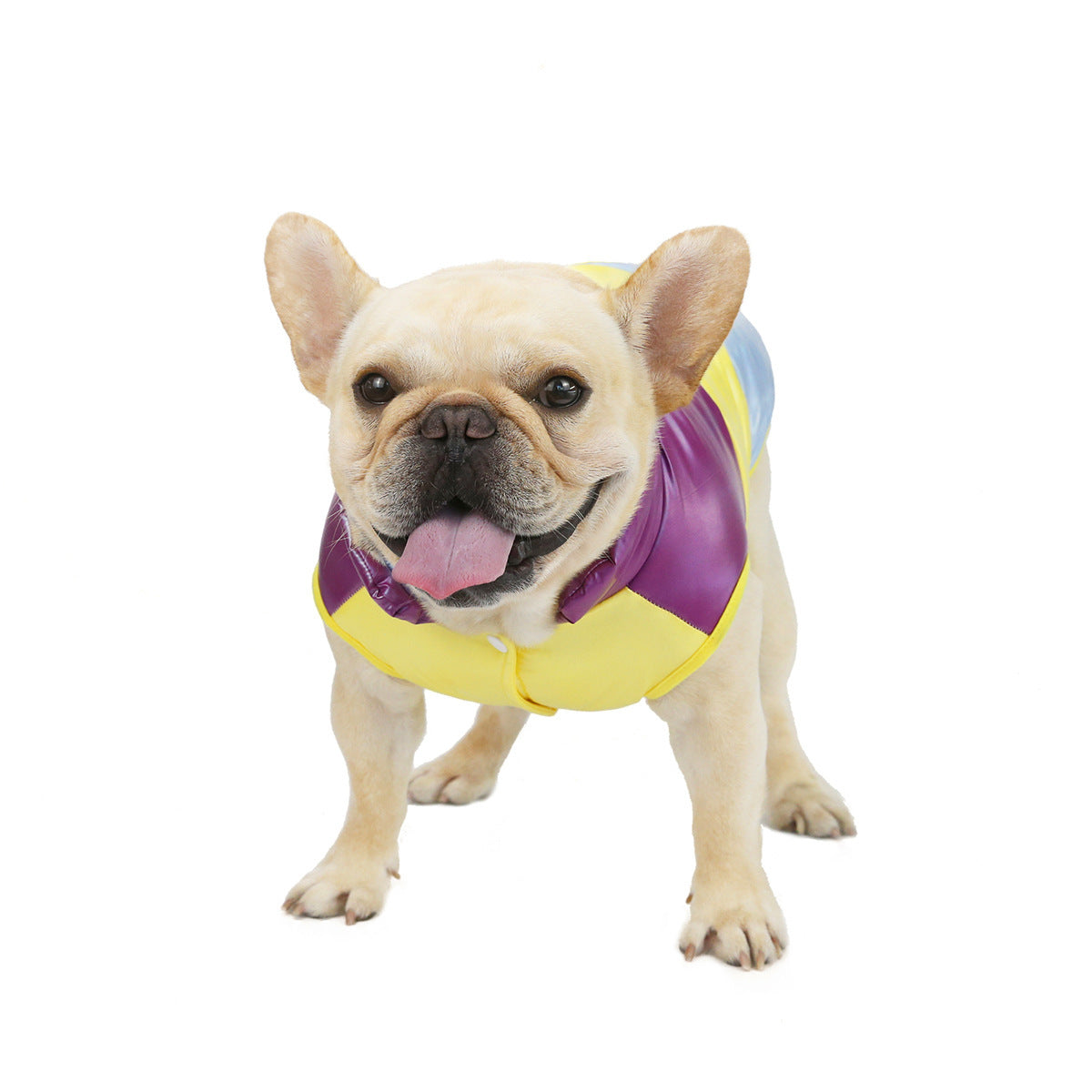 "Dadagou" Padded Sleeveless Dog Coat