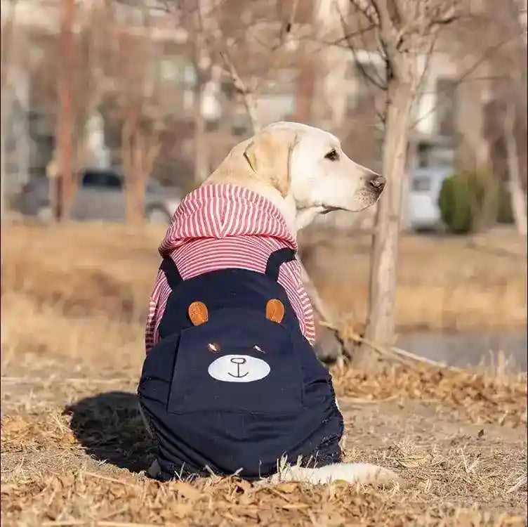 Tuta Pile Cani Grandi - Salopette Invernale Taglie XXL-9XL by Dog Moda