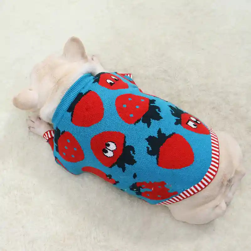犬用いちごセーター - 暖かくて楽しい