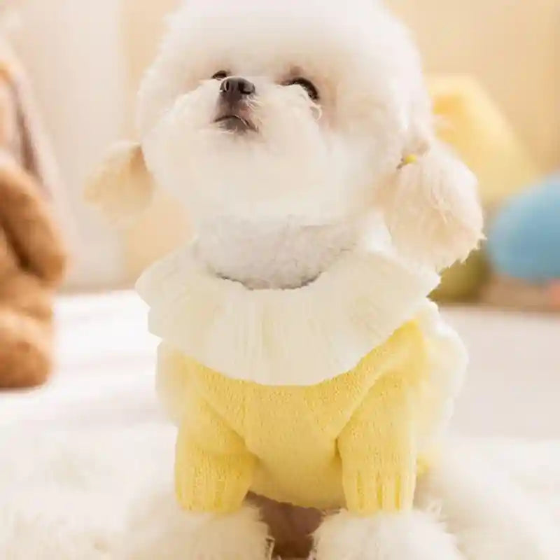 Maglione per Cani con Stelle - Caldo e Morbido by Dog Moda