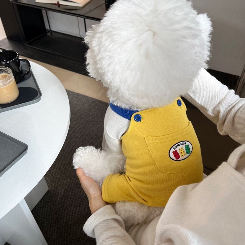 Small Dog Overalls with Suspenders - Comfortable and Fashionable