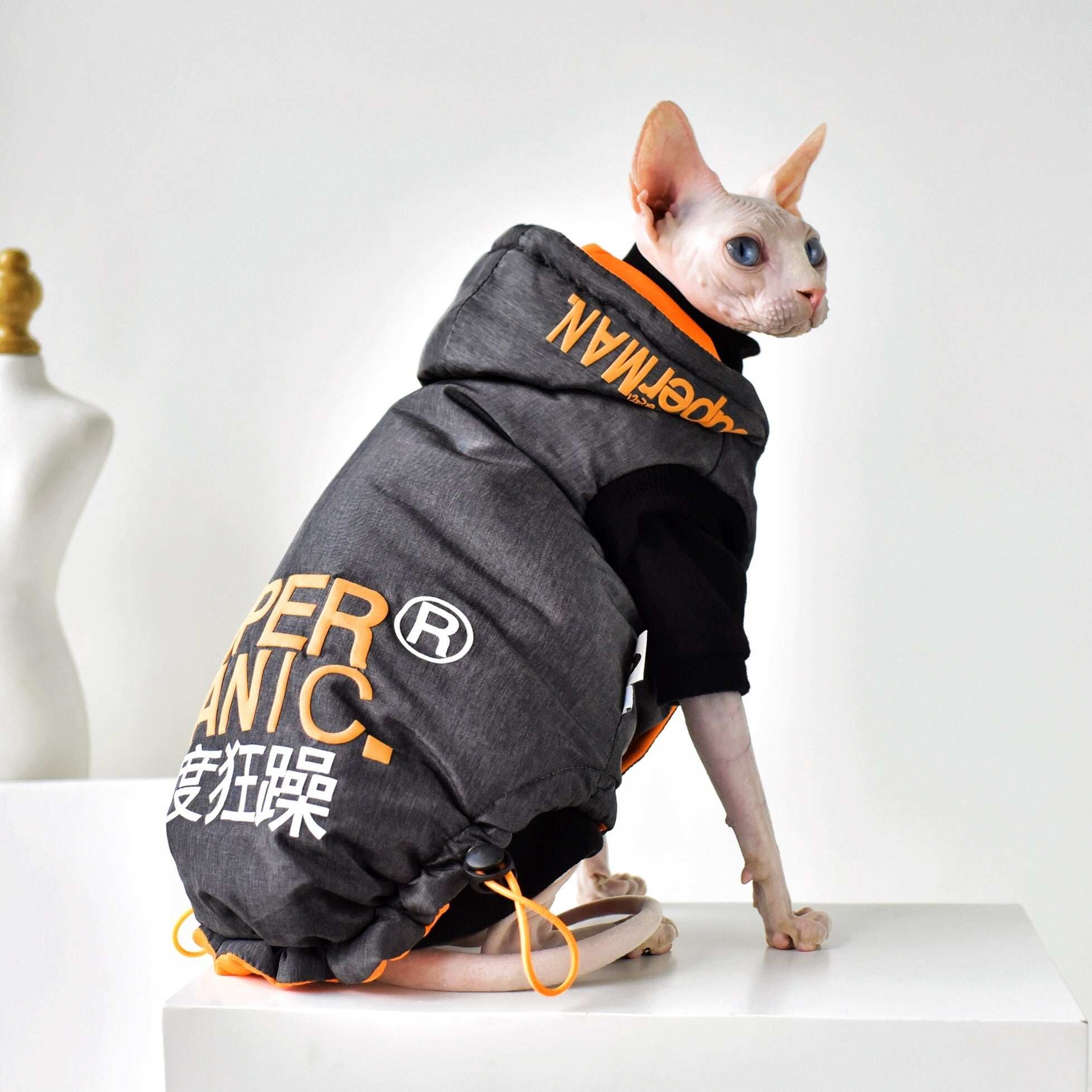 Sphynx Cat Coat "Super Manic" with Elasticated Mesh
