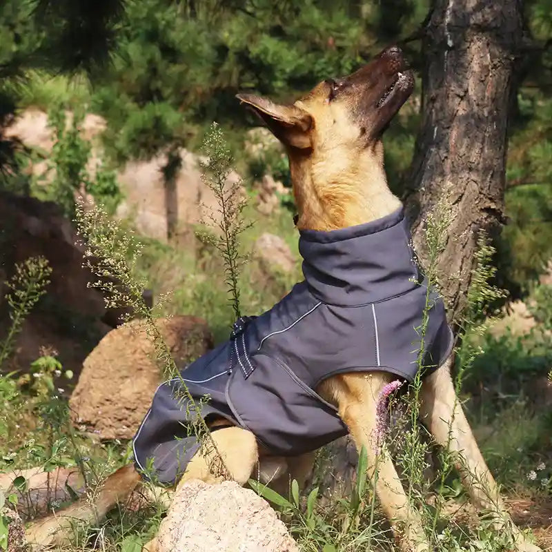 Impermeabile per Cani Mountain - Antipioggia Riflettente by null