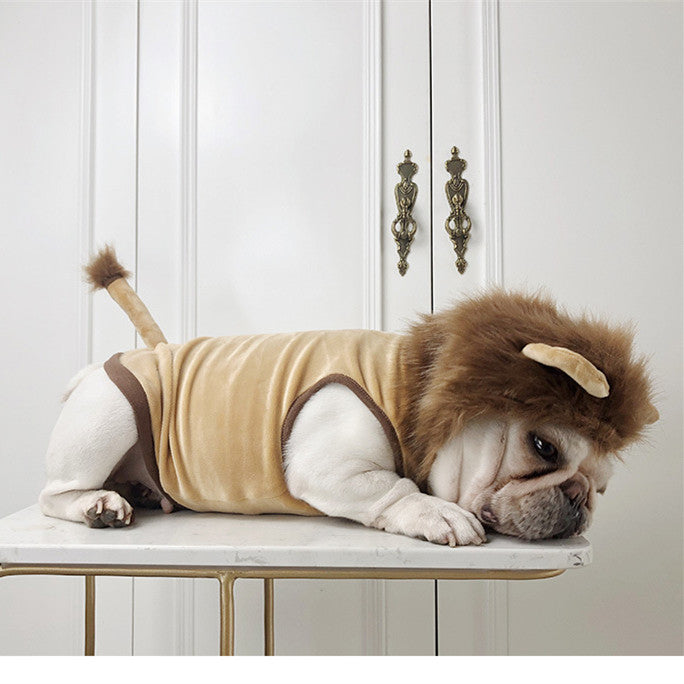 Costume leoncino per cani e gatti: travestimento perfetto per feste e foto memorabili - Dog Moda