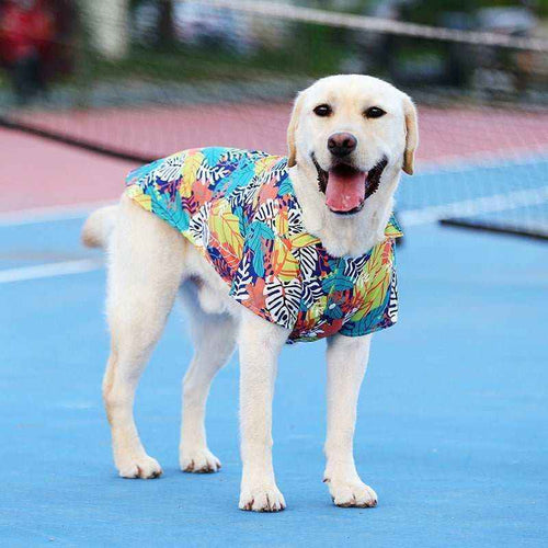 Happy yellow Labrador wearing colorful Hawaiian shirt on blue tennis court