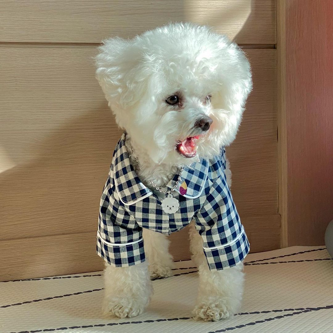 Camicia Pigiama Quadri Chic per Can - Dog Moda