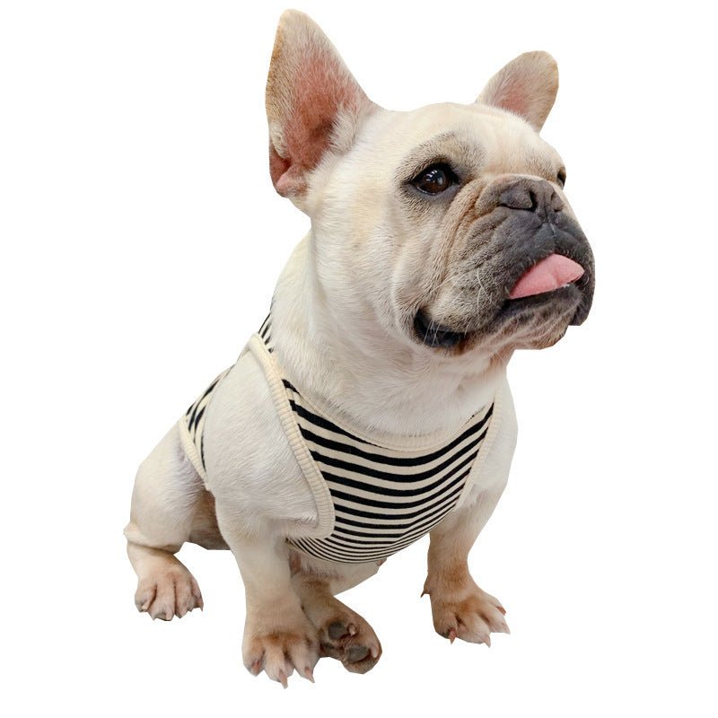 Canotta per cani a righe "K - Star" - Dog Moda