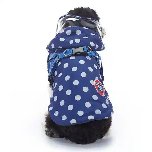 Small black and white dog wearing a blue polka dot coat with harness and clear visor