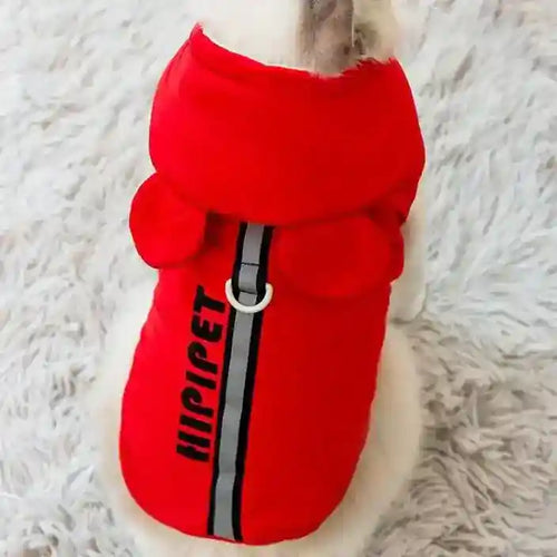 White cat wearing red Hipipet hooded pet jacket with reflective strip and harness ring on gray rug