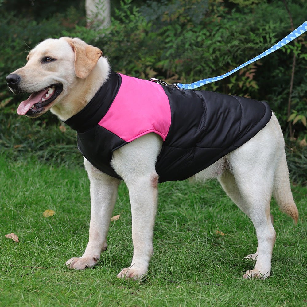 Cappottino Imbottito Impermeabile per Cani Modello "Rent" – Protezione Totale con Vestizione Rapida - Dog Moda