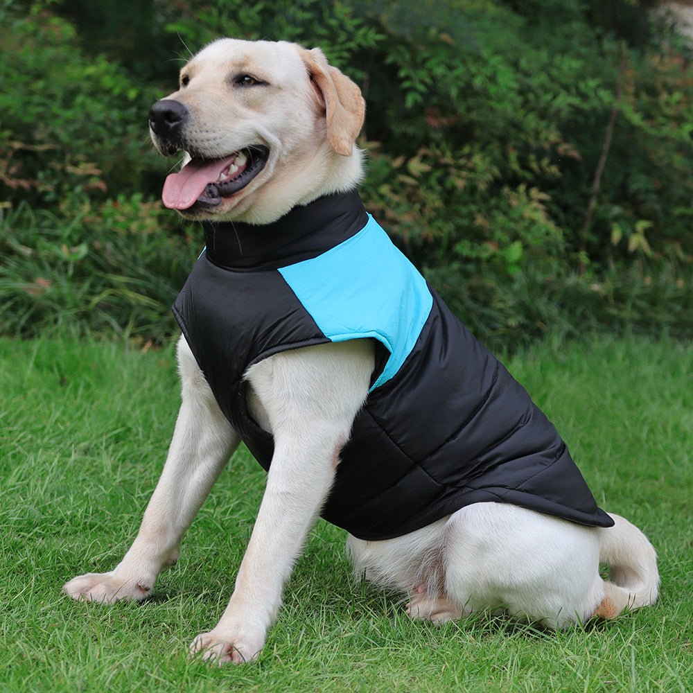 Cappottino Imbottito Impermeabile per Cani Modello "Rent" – Protezione Totale con Vestizione Rapida - Dog Moda