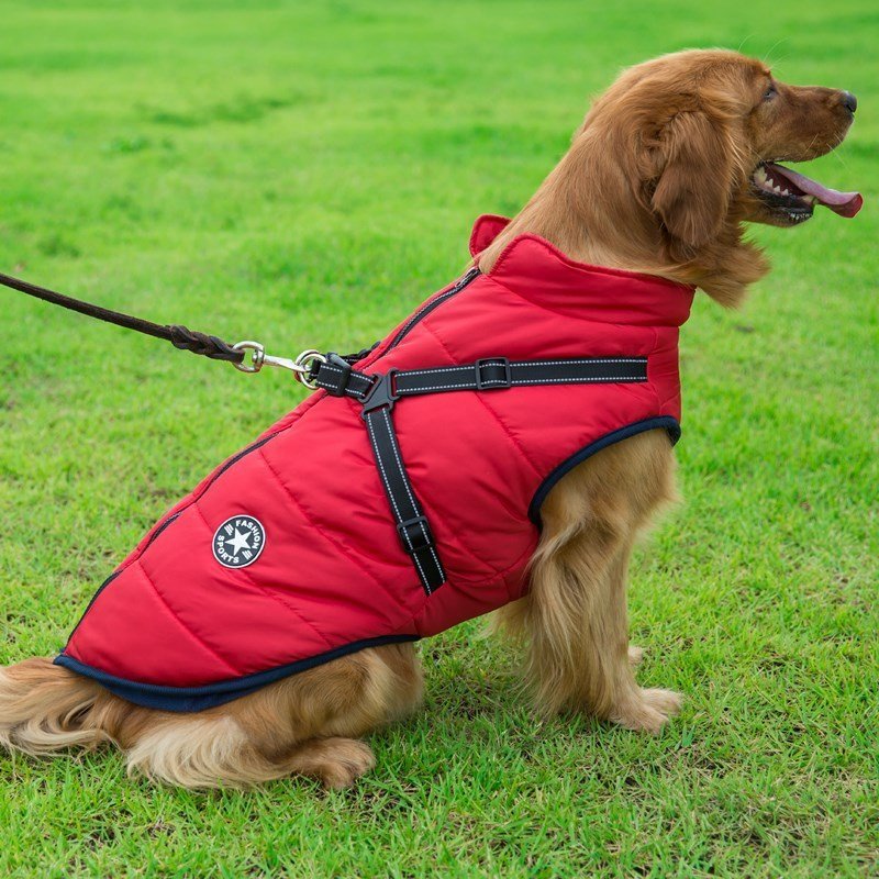 Cappottino impermeabile "Fashion Sports" con pettorina integrata per cani - Dog Moda