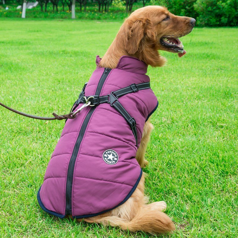 Cappottino impermeabile "Fashion Sports" con pettorina integrata per cani - Dog Moda